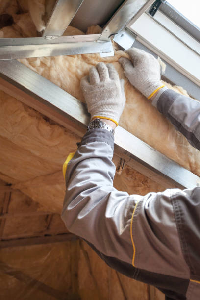 Best Local Insulation Services  in Fort Washakie, WY
